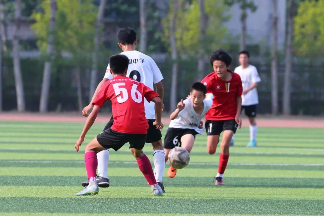 显迟缓